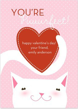 valentines day cat card